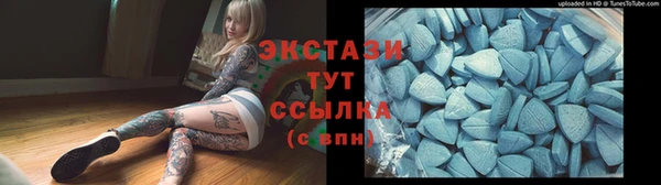 стаф Алзамай
